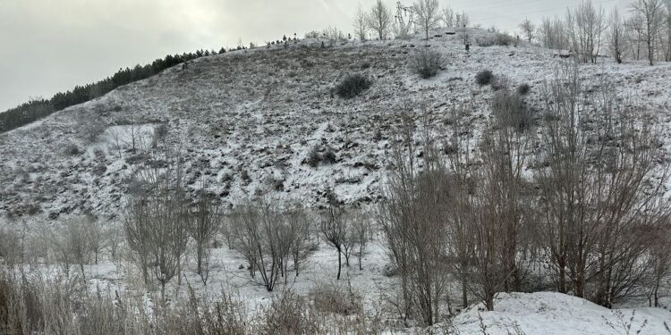 全國觀光年會在雲林協辦單位 台灣區觀光協會聯合會總會長林務局長力挺 全國觀光年會在雲林協辦單位 台灣區觀光協會聯合會總會長林務局長力挺