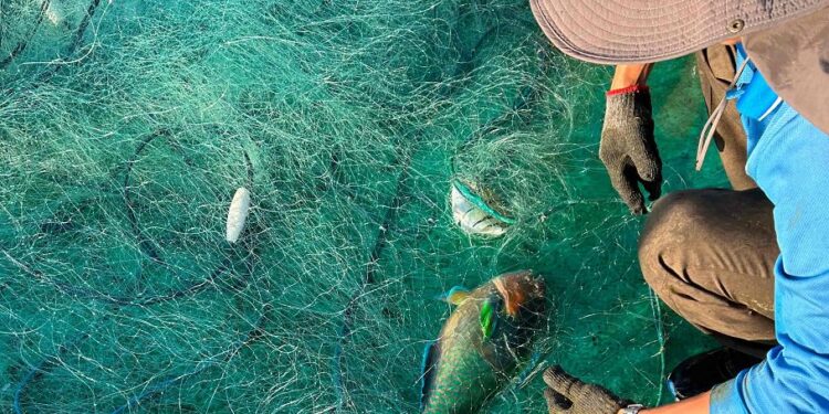 守護海洋資源  嚴禁非法漁業活動