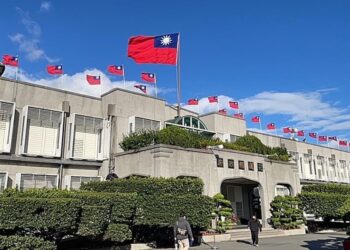 農業部新增14種淡水魚為保育類 飼主請於12月31日前向花蓮縣政府完成登記且禁買賣