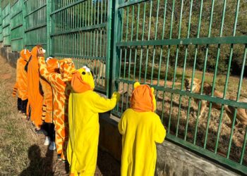 2024六福村勇闖猛獸趣味路跑  元旦奔向猛獸趣