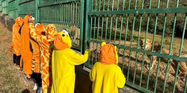 2024六福村勇闖猛獸趣味路跑  元旦奔向猛獸趣