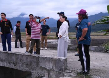 化危機為轉機 徐榛蔚南下視察區域排水工程
