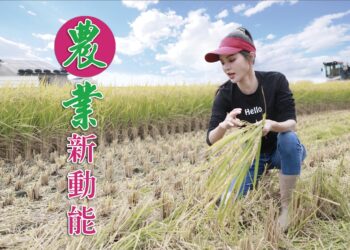 嘉義縣民正在檢視林國慶還是陳冠廷或是廖昱婧 哪一位才能翻轉嘉義縣
