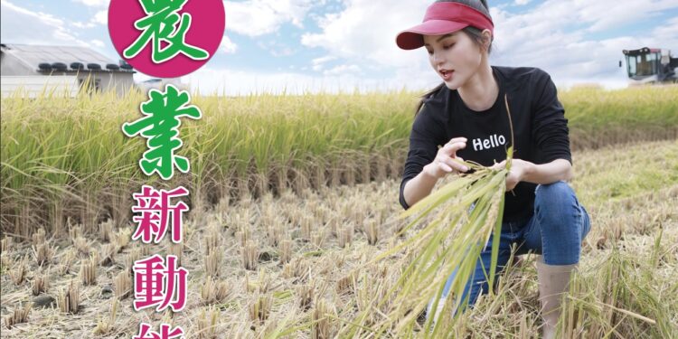 嘉義縣民正在檢視林國慶還是陳冠廷或是廖昱婧 哪一位才能翻轉嘉義縣 嘉義縣民正在檢視林國慶還是陳冠廷或是廖昱婧 哪一位才能翻轉嘉義縣