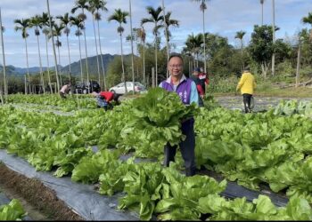 嘉義縣觀光協會會長施皓中  慷慨贈送每位來賓無毒高山芥菜