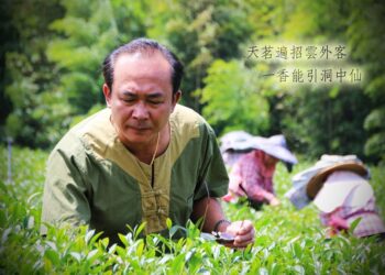 堅持台灣茶 鹿谷茶園第二代經營天一茶園