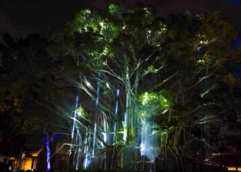 漫畫之都最華麗耶誕禮物  台中國漫館12/23開館試營運