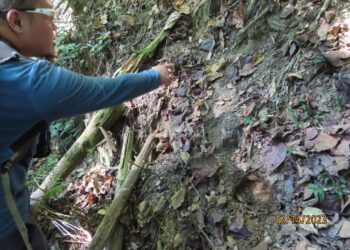 縣府定期搜查清除捕獸鋏  山豬吊 提醒民眾勿以身試法