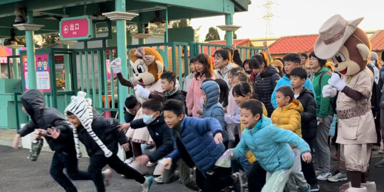 2024元旦六福村群獅獻吼迎曙光 百人猛獸路跑 獅虎同行超刺激 2024元旦六福村群獅獻吼迎曙光 百人猛獸路跑 獅虎同行超刺激