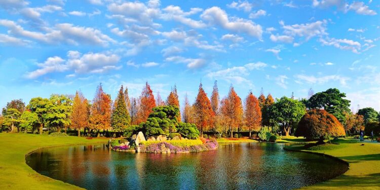 2024春節必遊！成美文化園落羽松正紅，打造東方市集，漢服古人滿街跑