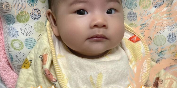 曾淑懿:好孕在壽豐 113年每胎補助二萬元 曾淑懿:好孕在壽豐 113年每胎補助二萬元