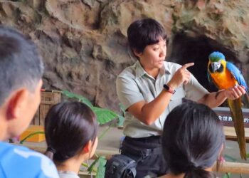 關西六福莊首推24小時人氣動物們陪你無限FUN瘋玩