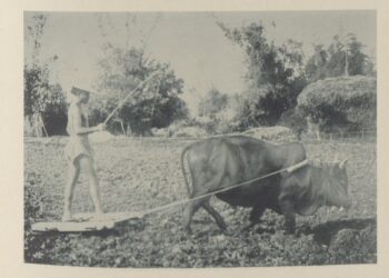 驚艷福爾摩沙 一位法國軍官的19世紀臺灣紀行寫真帖 攝影文化中心線上開展