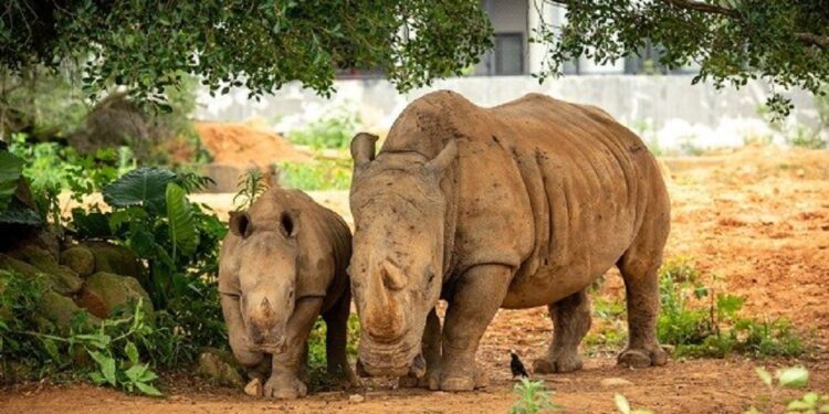 2024全新四年一遇229好運全開 關西六福莊加一元即可全家輕鬆入住 2024全新四年一遇229好運全開 關西六福莊加一元即可全家輕鬆入住