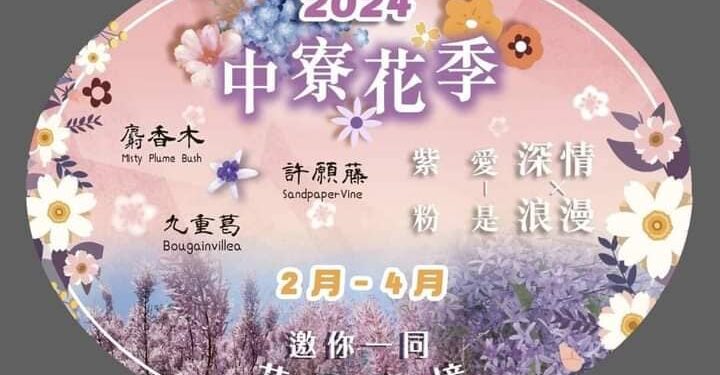 南投中寮淡紫色麝香木花海  正值盛開期浪漫山丘