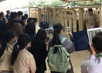 手刀報名  2024台灣動物界年度盛事  舉辦國際巨型草食獸麻醉工作坊