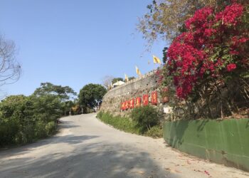 暖冬高溫催花開 白河木棉花季提前本周六登場  順遊台灣萬里長城