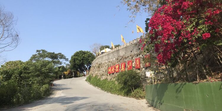 暖冬高溫催花開 白河木棉花季提前本周六登場 順遊台灣萬里長城 暖冬高溫催花開 白河木棉花季提前本周六登場 順遊台灣萬里長城