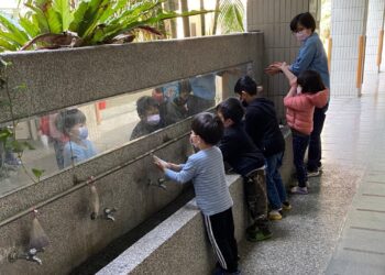 溫差大腸病毒活躍 竹市衛生局籲開學做好腸病毒55攻略 守護學童健康