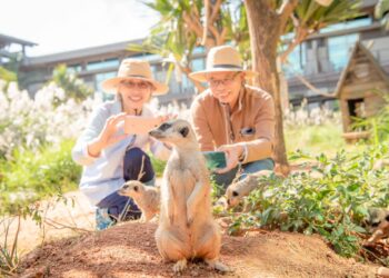 關西六福莊迎接女神降臨!招待女神FUN假來玩 3+1=6全家四口輕鬆出遊再加贈兩位女神同行不加價