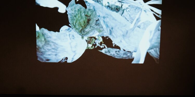 公辦美展總獎金569萬元全國最高 中市第29屆大墩美展徵件4/1起跑 公辦美展總獎金569萬元全國最高 中市第29屆大墩美展徵件4/1起跑