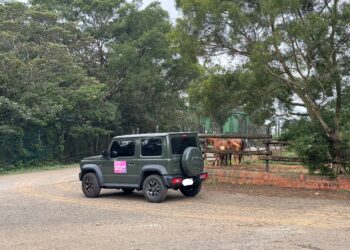 六福村動物園自駕遊經典再現 歡慶45周年強勢回歸  未滿6歲免費入園