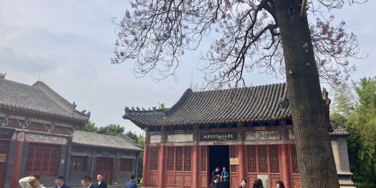 禹州鈞官窑瓷博物館：陶瓷藝術的殿堂與文化傳承的寶庫