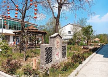 行走都市圈聚焦出彩中原　蘭考縣惠安街道何寨村