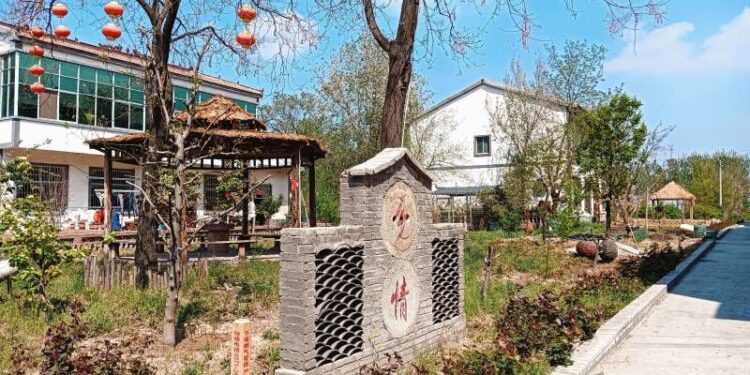 行走都市圈聚焦出彩中原　蘭考縣惠安街道何寨村