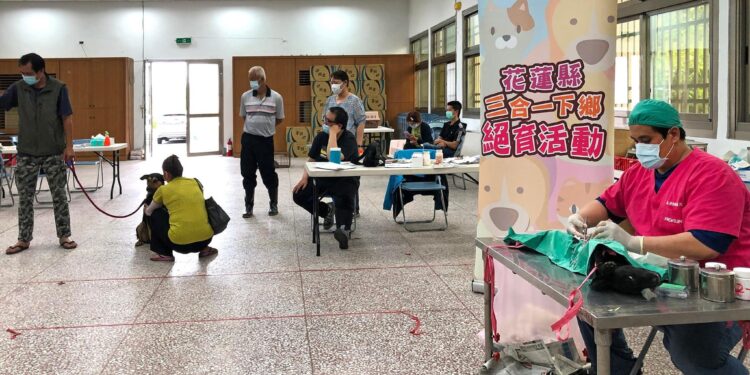 【「絕」對有好康 犬貓健康幸福沒煩惱 花蓮縣政府啟動113年上半年度犬貓三合一絕育活動】 【「絕」對有好康 犬貓健康幸福沒煩惱 花蓮縣政府啟動113年上半年度犬貓三合一絕育活動】