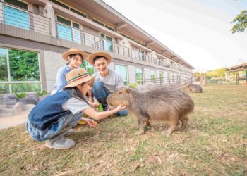 全台母親再啟少女心 來六福村享專屬VIP公主般待遇 呆萌動物療癒滿分 限定甜點夢幻登場