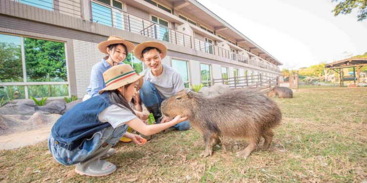 全台母親再啟少女心 來六福村享專屬VIP公主般待遇 呆萌動物療癒滿分 限定甜點夢幻登場 全台母親再啟少女心 來六福村享專屬VIP公主般待遇 呆萌動物療癒滿分 限定甜點夢幻登場