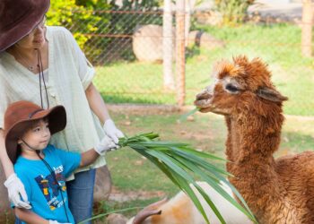 六福村45周年生日派對 動物變裝超優惠 動物導覽、體驗包羅萬象喜愛動物千萬別錯過