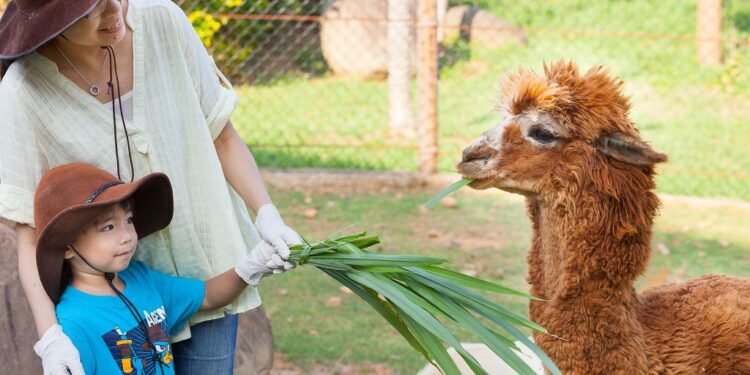 六福村45周年生日派對 動物變裝超優惠 動物導覽、體驗包羅萬象喜愛動物千萬別錯過 六福村45周年生日派對 動物變裝超優惠 動物導覽、體驗包羅萬象喜愛動物千萬別錯過