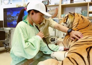 暑期生態營隊限額釋出  關西六福莊小小獸醫實習營全台唯一限額釋出