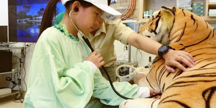 暑期生態營隊限額釋出  關西六福莊小小獸醫實習營全台唯一限額釋出