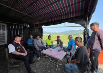 農業部公告花蓮縣鳳林鎮及壽豐鄉為西瓜農業天然災害現金救助地區 張峻議長呼籲 兩鄉鎮受災瓜農請儘快至當地公所辦理申請