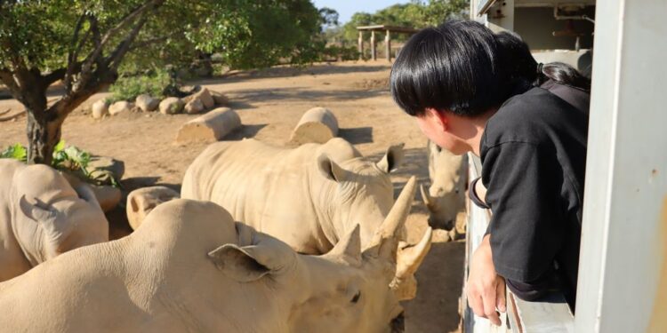 關西六福莊超夯主題房 與動物明星狂歡慶端午 全台唯一結合探索非洲及動物體驗生態度假 關西六福莊超夯主題房 與動物明星狂歡慶端午 全台唯一結合探索非洲及動物體驗生態度假