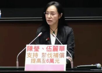 「禁伐補償」修法通過 陳瑩：每公頃提高至6萬元