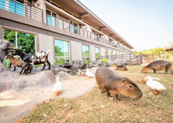 六福水樂園穿搭攻略一次看 比基尼、露臍裝消暑又享優惠價