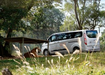 六福莊首推全台唯一非洲生態動物探索兒童獨立營隊 七天六夜與動物共學共遊