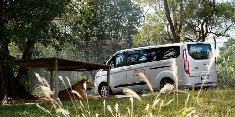 六福莊首推全台唯一非洲生態動物探索兒童獨立營隊 七天六夜與動物共學共遊