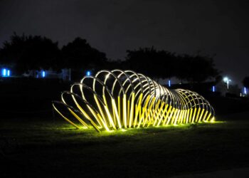 夜探中央公園  10米巨型毛毛蟲閃亮現蹤