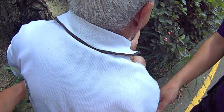 過馬路雙腳無力   7旬老翁困分隔島暖警伸援手