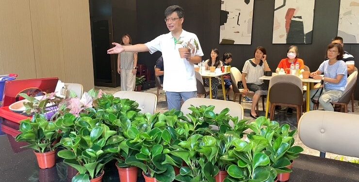 中市社區營造最金典 12區公所摘下金區獎 中市社區營造最金典 12區公所摘下金區獎