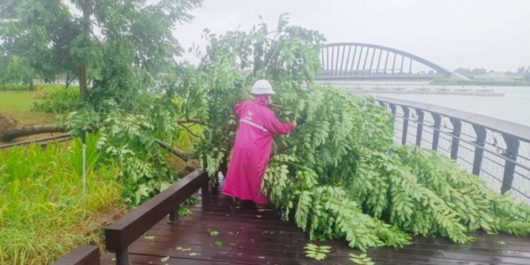 故宮南院7月27日正常開館　戶外水舞展恢復演出