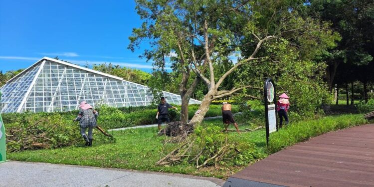 知卡宣親水公園7/31恢復開園 知你.知我-七夕市集活動8/3熱鬧登場 期待與您共度美好時光