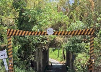 「花蓮縣秀林鄉海巡人員疑涉肇事逃逸」案 海巡署：東部分署安檢所人員疑涉肇逃 海巡署立即汰除」