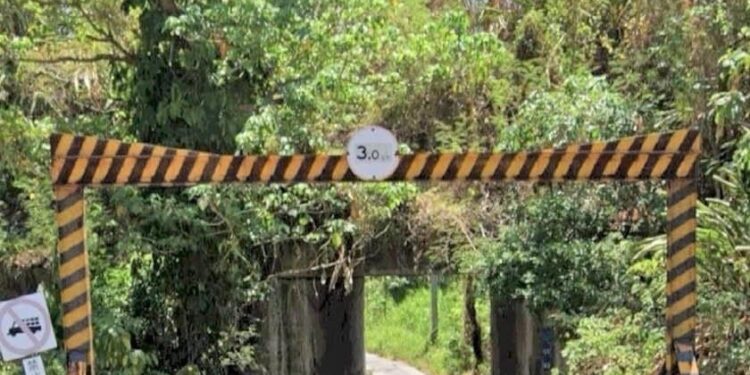 「花蓮縣秀林鄉海巡人員疑涉肇事逃逸」案 海巡署:東部分署安檢所人員疑涉肇逃 海巡署立即汰除」 「花蓮縣秀林鄉海巡人員疑涉肇事逃逸」案 海巡署:東部分署安檢所人員疑涉肇逃 海巡署立即汰除」