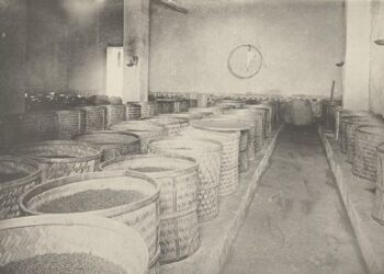 穿梭時空來泡福爾摩沙烏龍茶給我一盞茶的時間：攝影家普萊斯與他的北福爾摩沙的回憶線上開展